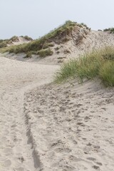Landscape with sand dunes at wadden islands in the Netherlands.