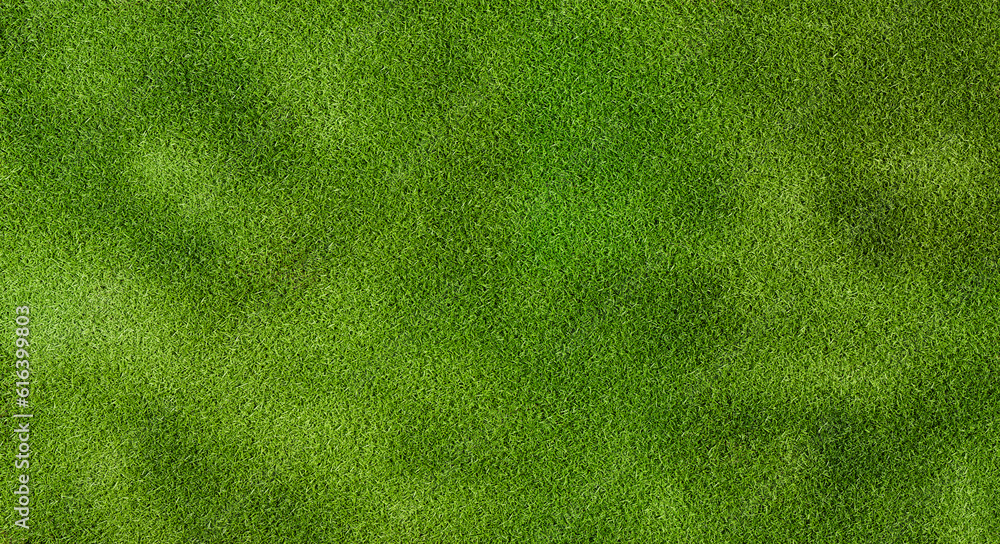 Aufkleber top view grass field, hight quality grass fields, 3d illustration rendering