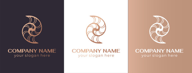 Shell logo. Modern seashell, naulilus. Elegant linear logo. Template to create a unique luxury design, logo. Vector