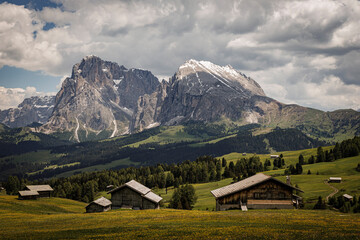 Obraz premium mountain panorama on the Alpe di siusi in south tyrol