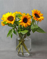 Sonnenblumen in einer Glasvase vor grauem Grund
