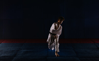 Fototapeta na wymiar Young man doing karate work out