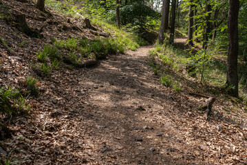 Altstraße bei Bingen zum Damianskopf (Hildegard von Bingen Weg)