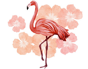 Flamingo with flowers background watercolor