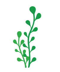 Leaf Sea Plant Under Ocean Vector Illustration