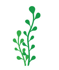 Leaf Sea Plant Under Ocean Vector Illustration