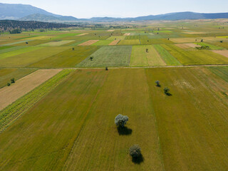 Gaining from the land, sustainable agricultural policies and future investment lands / Konya /...