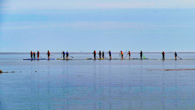Paddle Boarders on a Calm Sea