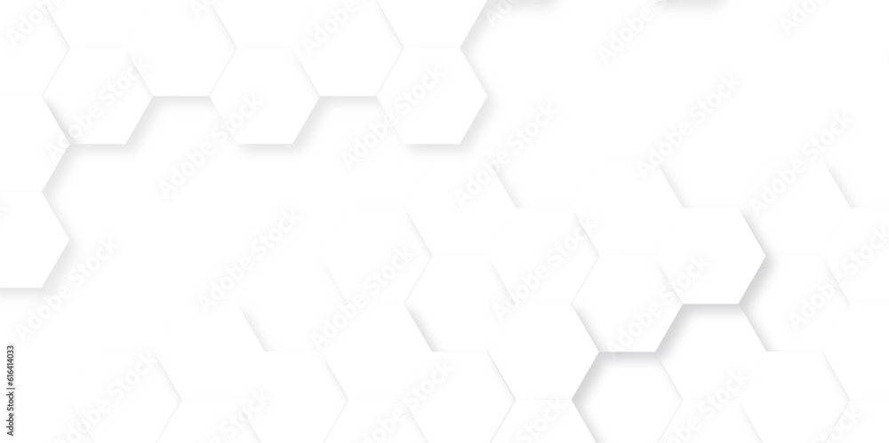 Wall mural background with hexagons . abstract background with lines . white texture background . white and hex