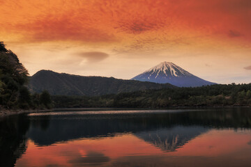 Mount Fuji with skyline reflection and twilight sky, Yamanashi
