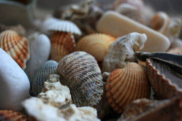 Obraz na płótnie Canvas Seashells and stones from the sea lie in a vase.