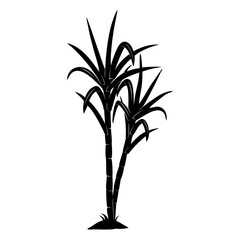 silhouette of a sugarcane