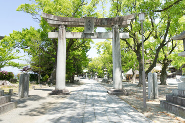 Fototapeta na wymiar 神社の石鳥居と参道