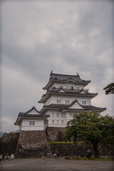 japanese castle 小田原城