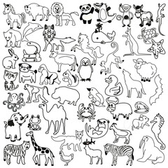 50 Animals of  Different kinds