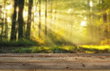 Fototapeta na wymiar Wooden table top on blur green forest or gardent.Fresh and Relax concept.For montage product display or design key visual layout.View of copy space.