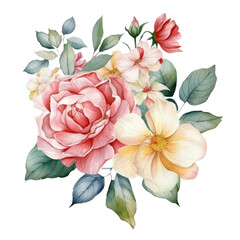 bouquet of roses watercolor isolated on transparent background cutout