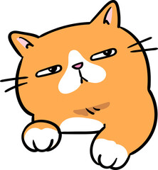 Funny Cartoon Cat Head Character