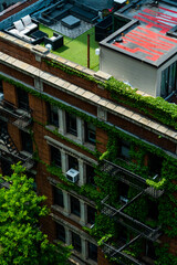 Fototapeta na wymiar New York City Building Greenery Rooftops