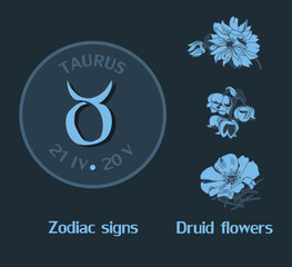 Zodiac sign Taurus from April 21 to May 20. Horoscope logo on dark blue background. Druid flowers: dahlia, lily of the valley, purslane.