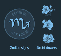 Zodiac sign Scorpio from October 23 to November 22. Horoscope logo on dark blue background. Druid flowers: freesia, orchid, peony.