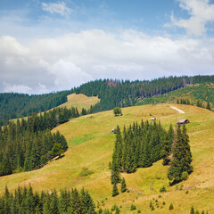 Summer mountain village landscape with hamlet on hill top