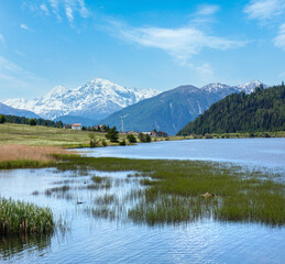 Fototapeta na wymiar Summer Reschensee view with blossoming dandelion Alpine meadow (Italy)