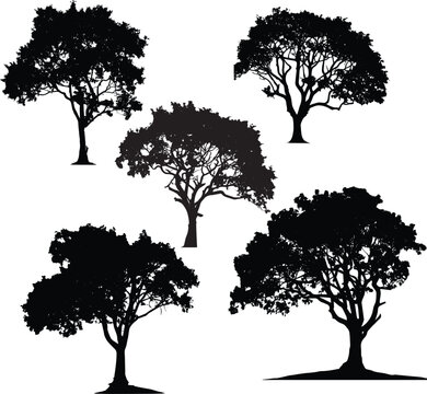 set of trees silhouettes, silhouettes tree vector illustration, isolated on white artboard