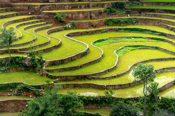 See terraced fields in the watering season in Mu Cang Chai, Yen Bai province, Vietnam