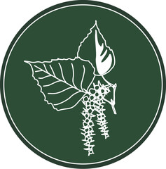 White logo branches of poplar on a dark green background. Celtic astrological calendar of the druids. Tree symbol in a circle. Black poplar. For natural themes. Chalk drawing on blackboard