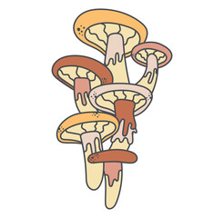 Psychedelic poisonous oyster mushrooms in Groovy style. Vector isolated retro illustration, hippie trip concept.