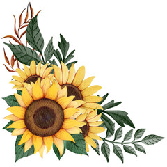 sunflower border isolated