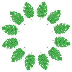 Naklejka premium Tropical monstera leaf frame. Summer hand-drawn design