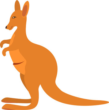 Cute animal kangaroo in flat style on white background. Vector illustration in cartoon style.