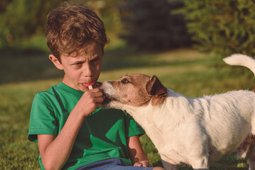 On Summer day kid is eating homemade fruit popsicle on stick and dog begging to share a bite
