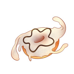 Obraz premium Doughnut and Donut