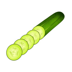Cucumber
