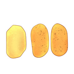 Potato