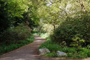 Footpath in park with trees and plants in spring