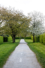 Fototapeta premium Footpath in park with trees and plants in spring