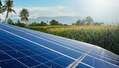 Photovoltaic panel on blurred corn field in background, concept for using solar cell panel to power...