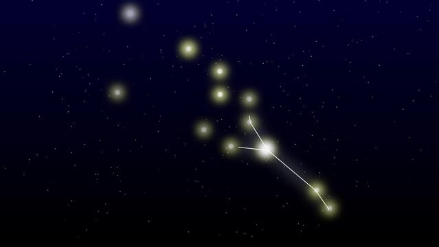Taurus star zodiac star taurus animation on black night sky.