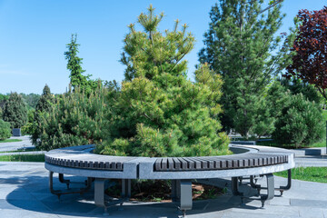 Comfortable in stone and wooden material bench in city park. Design of gray and brown stationary seat for leisure. Geometry on nature and place to rest. Exterior empty park bench. Furniture in garden.