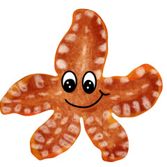 
A cute orange-eyed starfish.
