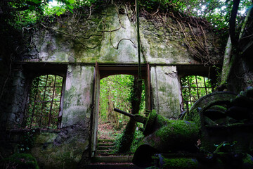 Abandoned ancient hydroelectrical power plant hidden deep in the forest