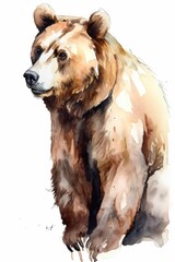 ours brun, dessin façon aquarelle, portrait d'un animal sauvage, illustration ia générative