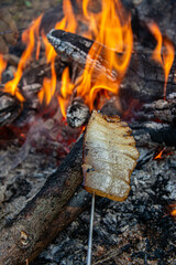  bacon  roasted on bonfire flame in garden.