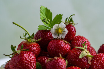 Bowl with fresh garden grown strawberries.