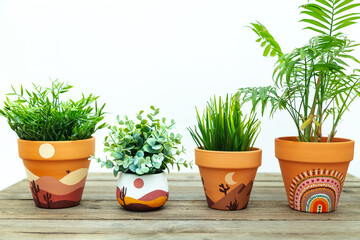 Artificial plants in clay terracotta pots. Ethnic motifs in the interior.