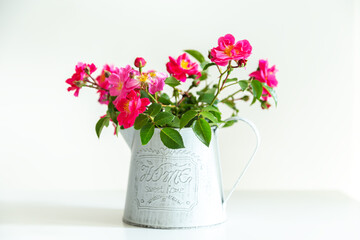 Rosehip flowers in a watering can.